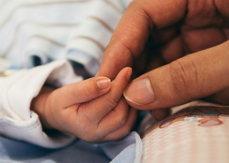 Embryos created via IVF being turned into jewlery