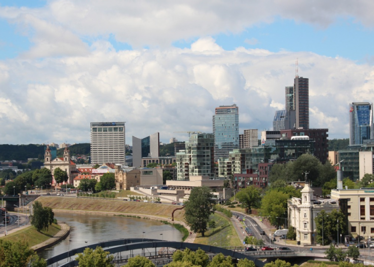 Lituania unveils policy defending premature and ill newborns