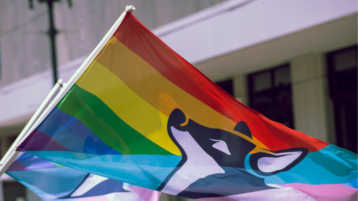 British free speech organization hacked by radical transgender group