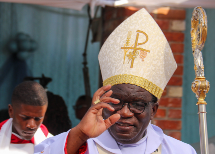 Zimbabwe Catholic bishops urge Senate to reject abortion bill
