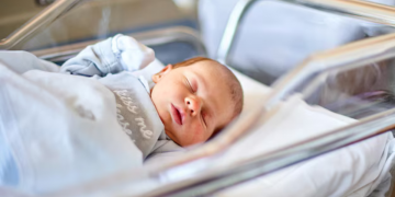 Senators Cotton, Scott demand investigation into Chinese surrogacy schemes