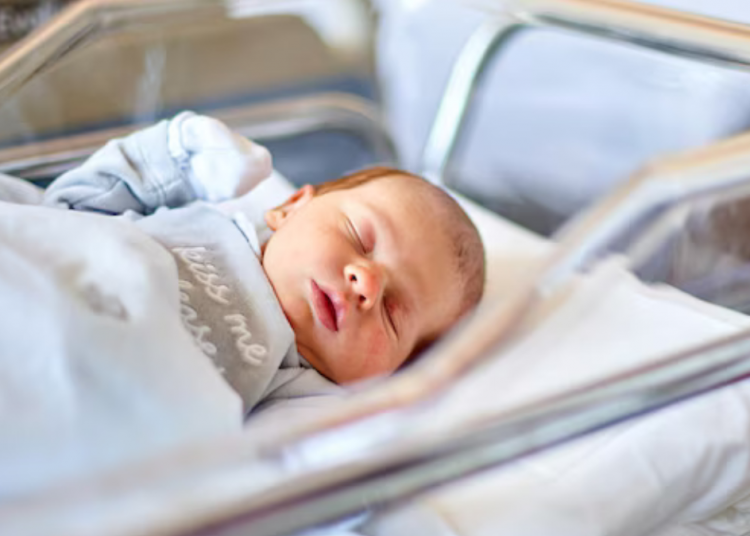 Senators Cotton, Scott demand investigation into Chinese surrogacy schemes