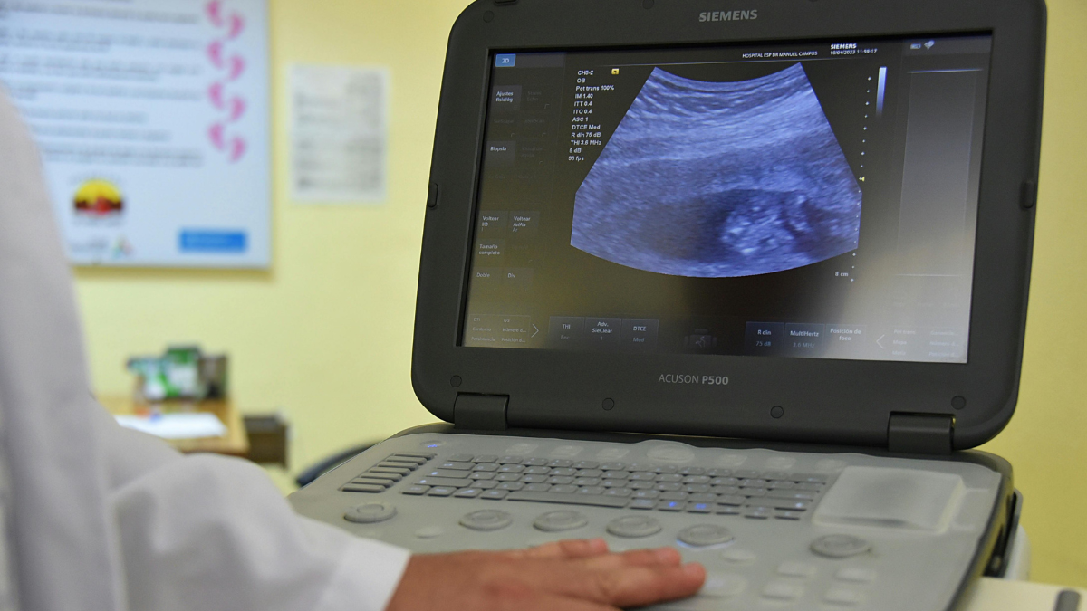 Louisiana bill requires prenatal development education in schools
