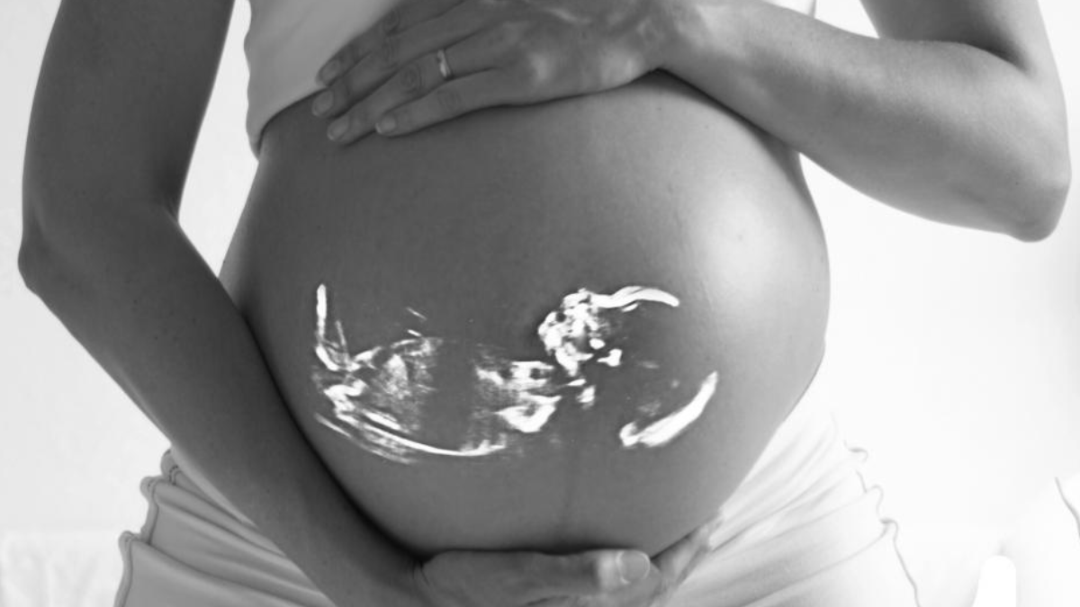Florida Attorney General calls surrogacy “modern day slavery”