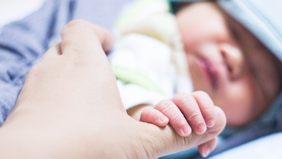 House Republicans introduce bills to bar sex offenders from surrogacy